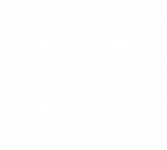 ace-logo